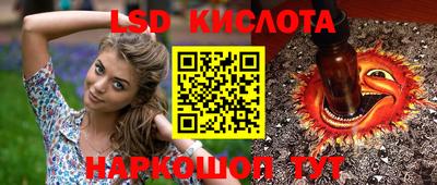 spice Заводоуковск
