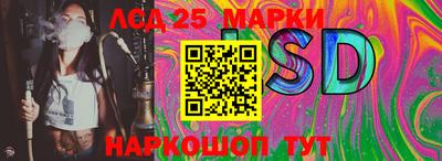spice Заводоуковск