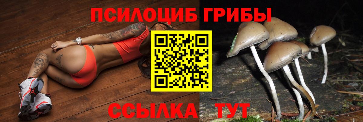 Галлюциногенные грибы мухоморы Благовещенск
